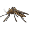 Mosquito emoji on Samsung
